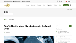 Top 10 Electric Motor Manufacturers in the World 2025 - electric motor supplier
