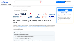 14 Electric Vehicle (EV) Battery Manufacturers in 2025 - Metoree - ev battery supplier