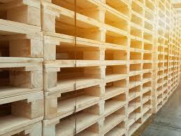 Warehouse Wooden Pallet, Wooden Pallets Manufacturer in Gujarat - wooden pallet supplier