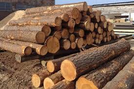 UK Timber Wood Supplier/Exporter: White Knight Consulting LTD - wood supplier