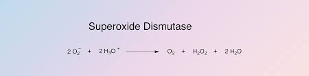 Superoxide Dismutase - Worthington Biochemical - superoxide dismutase supplier