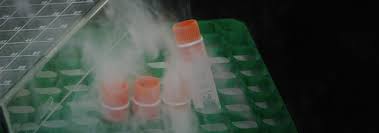 Wholesale Dry Ice Supplier - Zephyr Solutions - dry ice supplier