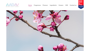 AARAV Fragrance & Flavours Pvt. Ltd. - flavours fragrances and aroma supplier