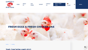 Best Poultry Products - Fresh Eggs & Fresh Chicken UAE - Al Ain Farms - chicken supplier