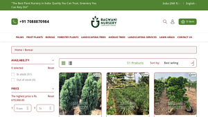Bonsai - Bagwani Nursery - bonsai plant supplier