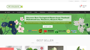 Bkinterplants Garden - Bkinterplants Garden - bulk live plants supplier in thailand