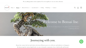 Bonsai Inc Singapore - bonsai-inc - bonsai plant supplier