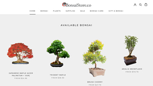 BonsaiStore.co - bonsai plant supplier