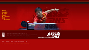 DHS Table Tennis Equipment - table tennis supplier china