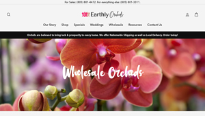 Visa - Earthly Orchids - bulk live plants supplier in thailand