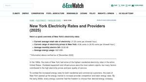 Compare Electricity Rates in New York (June 2025) - EcoWatch - cheapest energy supplier nyc