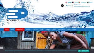 Efficient Pumps - Water Pump Supplier | Best water pump supplier in ... - water pump supplier
