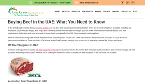 Wholesale Meat Suppliers in Dubai | Meat Distributors in UAE - Ever Green - beef supplier