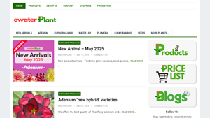 Ewaterplant : Resource of aquatic plant and Ornamental plants. - bulk live plants supplier in thailand