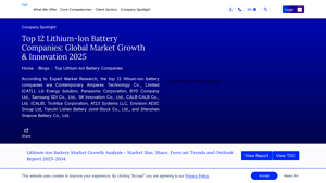 Top 12 Lithium-Ion Battery Companies: EV Market Growth - lithium ion suppliers