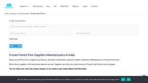 Frozen French fries Manufacturers in India - FROZEN B2B - french fries supplier