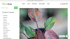 Wholesale Tropical Plants Sourcing the Best in Thailand - bulk live plants supplier in thailand