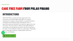 Certified Eggs Supplier Penang | Organic Chicken Eggs Wholesale | Eggs ... - egg supplier
