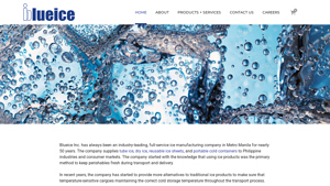 Blueice - Supplier of Tube Ice, Crushed Ice, Dry Ice, Reusable Ice Sheets - ice supplier