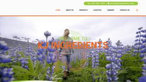 Fine-Quality Food Ingredient Suppliers - KJ Ingredients - food ingredient supplier
