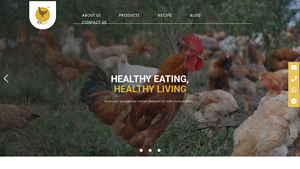 Fresh Chicken Supplier in Malaysia | Frozen and Dressed chicken | KP Asli - chicken supplier
