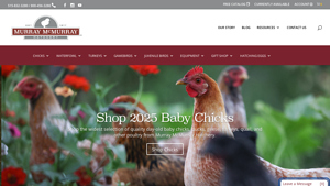 Murray McMurray Hatchery - Hatching the Highest Quality Baby Chicks and ... - chicken supplier