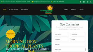 Morning Dew Tropical Plants - bulk live plants supplier in thailand