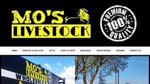 Mo's Livestock - Stockists and Supplier of quality goats, sheep, cattle ... - goat supplier