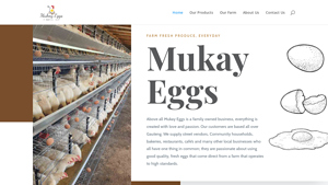 Mukay Eggs | Fresh Farm Produce, Everyday - egg supplier