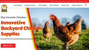 My Favorite Chicken: Innovative Backyard Chicken Supplies - chicken supplier