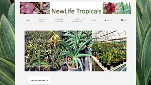 NewLife Tropicals - bulk live plants supplier in thailand