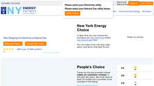 New York Energy Ratings | Compare New York Energy Companies | Save on ... - best electricity supplier in my area