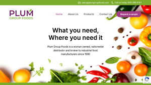 Plum Group Foods | Wholesale Frozen Food Distributors in USA - frozen food supplier