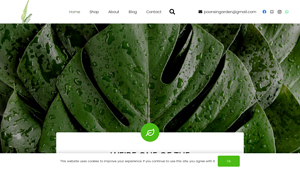 Poonsin Garden - LARGEST AROID AND TROPICAL PLANTS NURSERY IN THAILAND - bulk live plants supplier in thailand