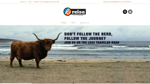 Reisa Fly Fishing: Wholesale Manufacturer of Flies and Fly Fishing ... - fishing flies supplier