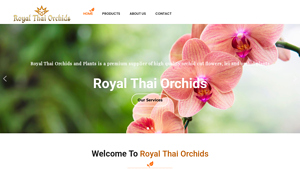 Royal Thai Orchids - Best Quality Orchids Flowers Fruits Thailand - bulk live plants supplier in thailand