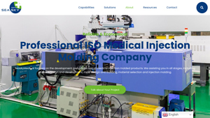 Reputable Medical Injection Molding Company | Seaskymedical - plastic injection molding companies