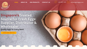 Trendy Egg - Trusted Fresh Egg Supplier, Distributor & Wholesaler - egg supplier