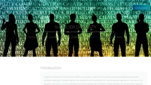 What is Supplier Diversity and Why is it Important? [2025] - Simfoni - diversity supplier