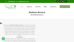 kadiyam nursery leading supplier of plants and crops |Kadiyam Nursery ... - bonsai plant supplier