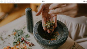 Best Ayurvedic Products Online | Ayurvedic Institute Store - ayurvedic medicine supplier