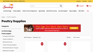 Chicken and Poultry Supplies | Stromberg's Chickens - chicken supplier