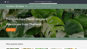 TerraFlora Global: Wholesale Plants from Thailand - bulk live plants supplier in thailand