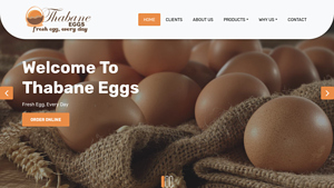 Thabane Eggs (Pty) Ltd - egg supplier