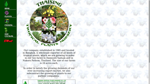 Thaising Tropical Plants Nursery, Bangkok, Thailand - Orchid and ... - bulk live plants supplier in thailand
