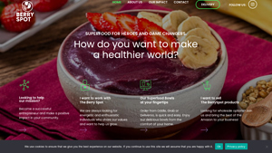 The Berry Spot - The Best Açaí Bowls in Singapore - acai bowl supplier
