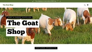 Goat Suppiles - goat supplier