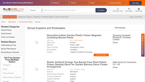 Bonsai Plants Suppliers and Wholesalers - TradeWheel - bonsai plant supplier