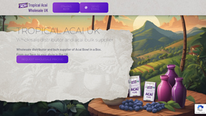 Tropical Acai Wholesale Distributor UK - acai bowl supplier