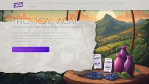 Organic Non-GMO Acai Wholesale Distributor and Bulk Supplier - acai bowl supplier